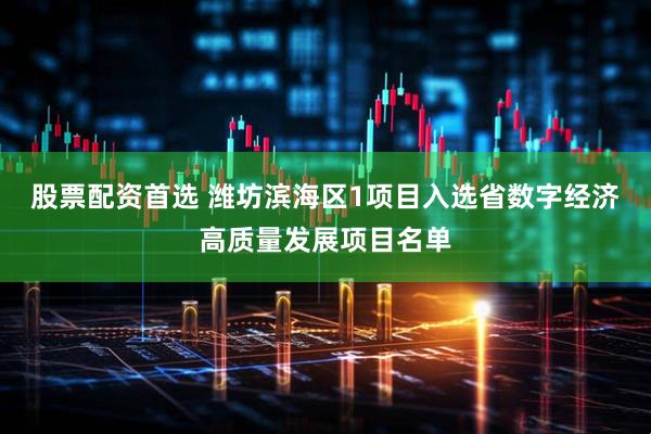 股票配资首选 潍坊滨海区1项目入选省数字经济高质量发展项目名单